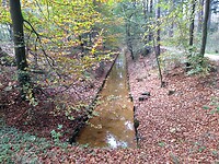 Vrijenbergerspreng