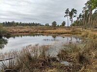 Het salamandergat op de Rakenberg