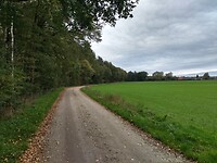 Langs de bosrand naar Beekbergen
