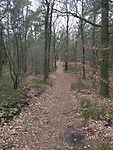 De Suikerberg op