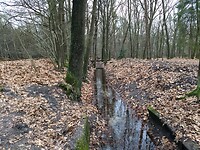Spreng in Berg en Bosch