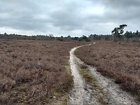 De Kamper klippen