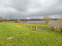 Uitzicht vanaf dijk bij Hattem