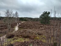 Uitzicht vanaf Tonnenberg