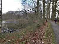 Oude dijk en kolk