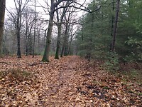 Landgoed Boshoven