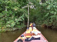 IMG_20230304_102940658_HDR