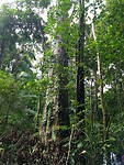 IMG_20230304_110812715