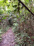 IMG_20230304_103533686