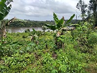 IMG_20230304_120315467_HDR