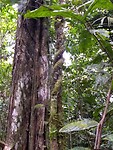 IMG_20230304_110031126