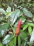 IMG_20230304_105533607