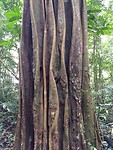 IMG_20230304_115123925
