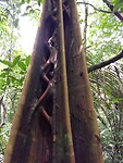 IMG_20230304_113231224