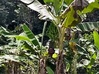 IMG_20230304_120211198_HDR