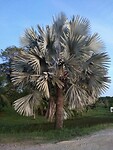 IMG_20230317_190546548