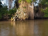 IMG_20230317_180037986