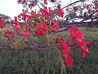 IMG_20230317_190350323