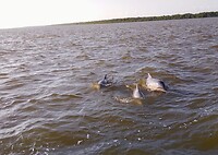 IMG-20230317-WA0030