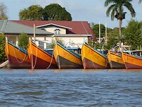 IMG-20230317-WA0081