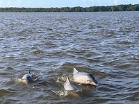 IMG-20230317-WA0036