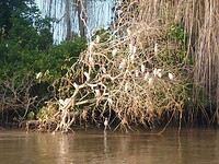 IMG-20230317-WA0087