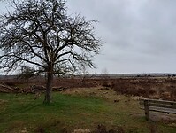 Houtdorperveld met bankje