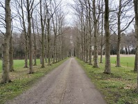 IMG_20230407_161132449
