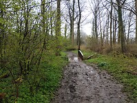 IMG_20230407_113020927