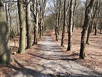 IMG_20230408_135659410