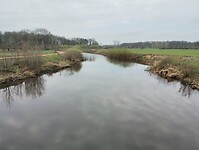 IMG_20230408_123209575