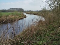 IMG_20230408_122817271
