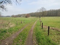 IMG_20230408_121410002