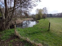 IMG_20230408_120652297