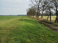 IMG_20230408_114927493