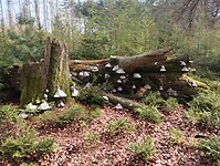 IMG_20230408_105138474
