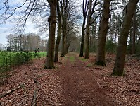 IMG_20230408_104842797_HDR
