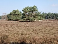 IMG_20230409_110728499
