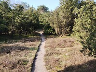 IMG_20230409_102544365