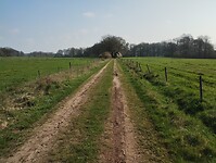 IMG_20230409_101143254