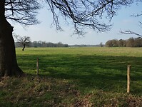 IMG_20230409_100511799