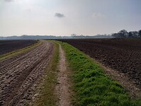 IMG_20230409_095043822_HDR