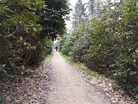 IMG_20230422_130829251