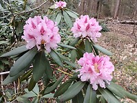 IMG_20230422_130242941