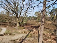 IMG_20230422_102731294