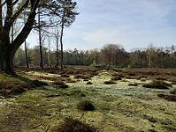 IMG_20230422_102447280_HDR
