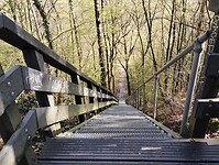 IMG_20230422_101553215