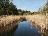 IMG_20230422_100845836