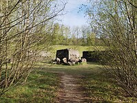 IMG_20230422_100039426