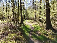 IMG_20230429_142704286